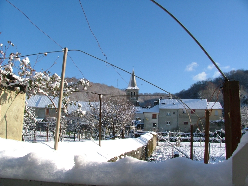 DSCF3644