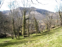 DSC03104