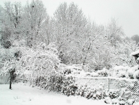 DSC12007