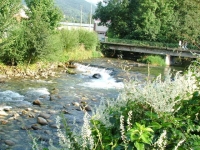 DSCF2210