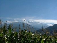 DSCF2535