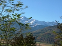 DSCF3065