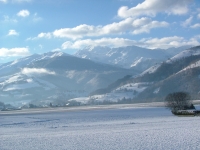 DSCF3648