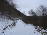 DSC04120